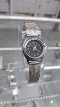 Sacieko Watch